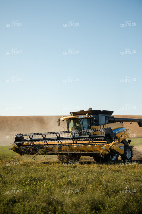 Soybean Harvest 215086