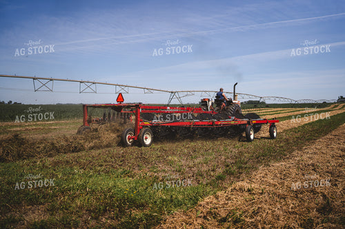 Raking Hay 196045