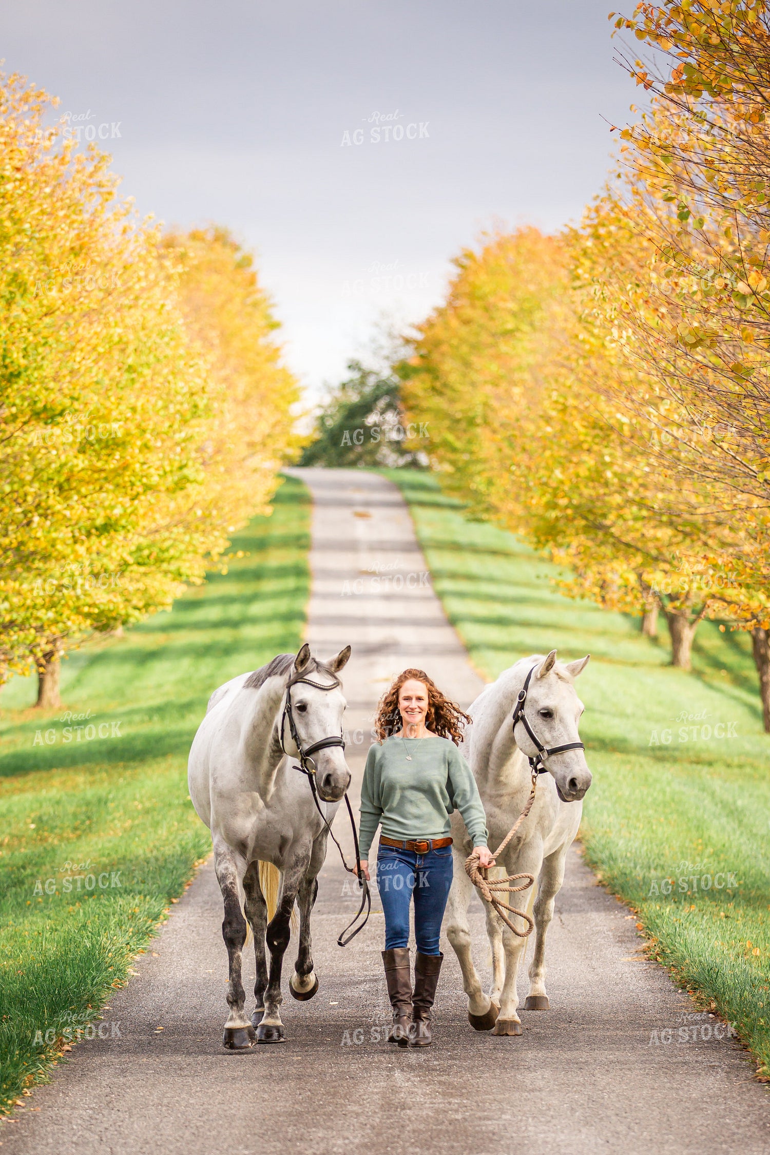Female Equestrian with Horses 270396