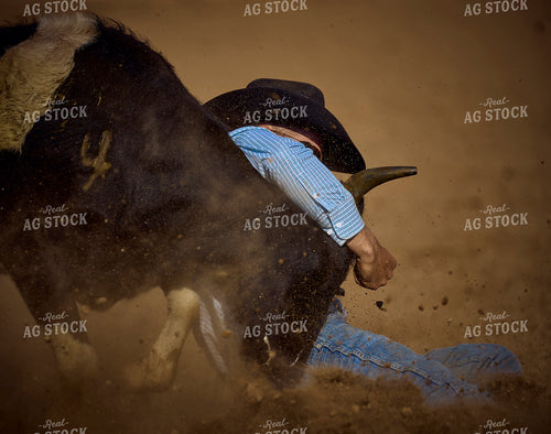 Rodeo 177036