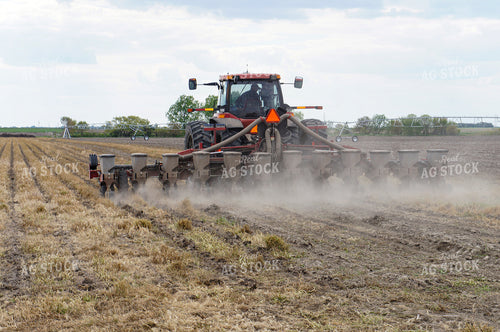 Planting 156038