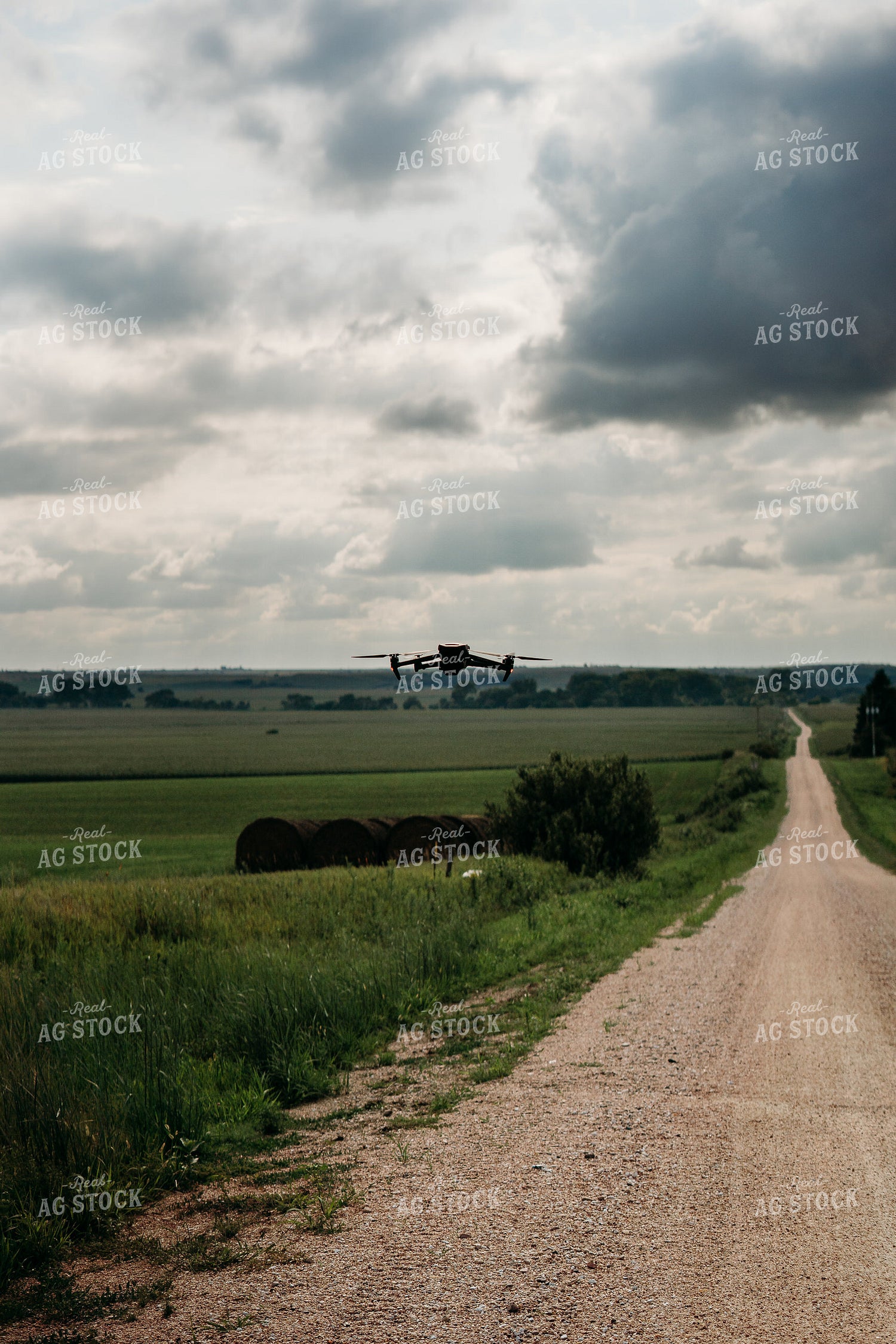 Scouting Fields With Drone 196335