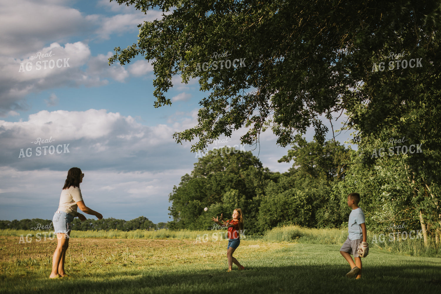 Farm Family Playing 8752