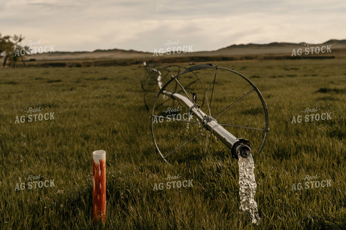 Irrigation System in Pasture 58221
