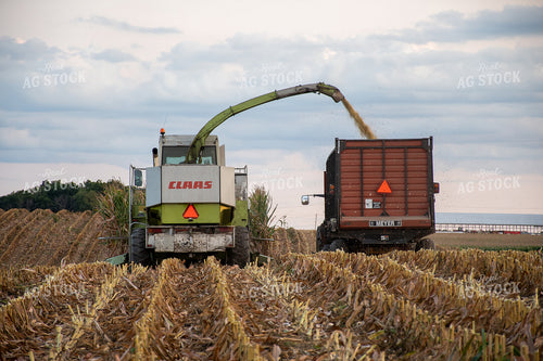 Silage Harvest 50245
