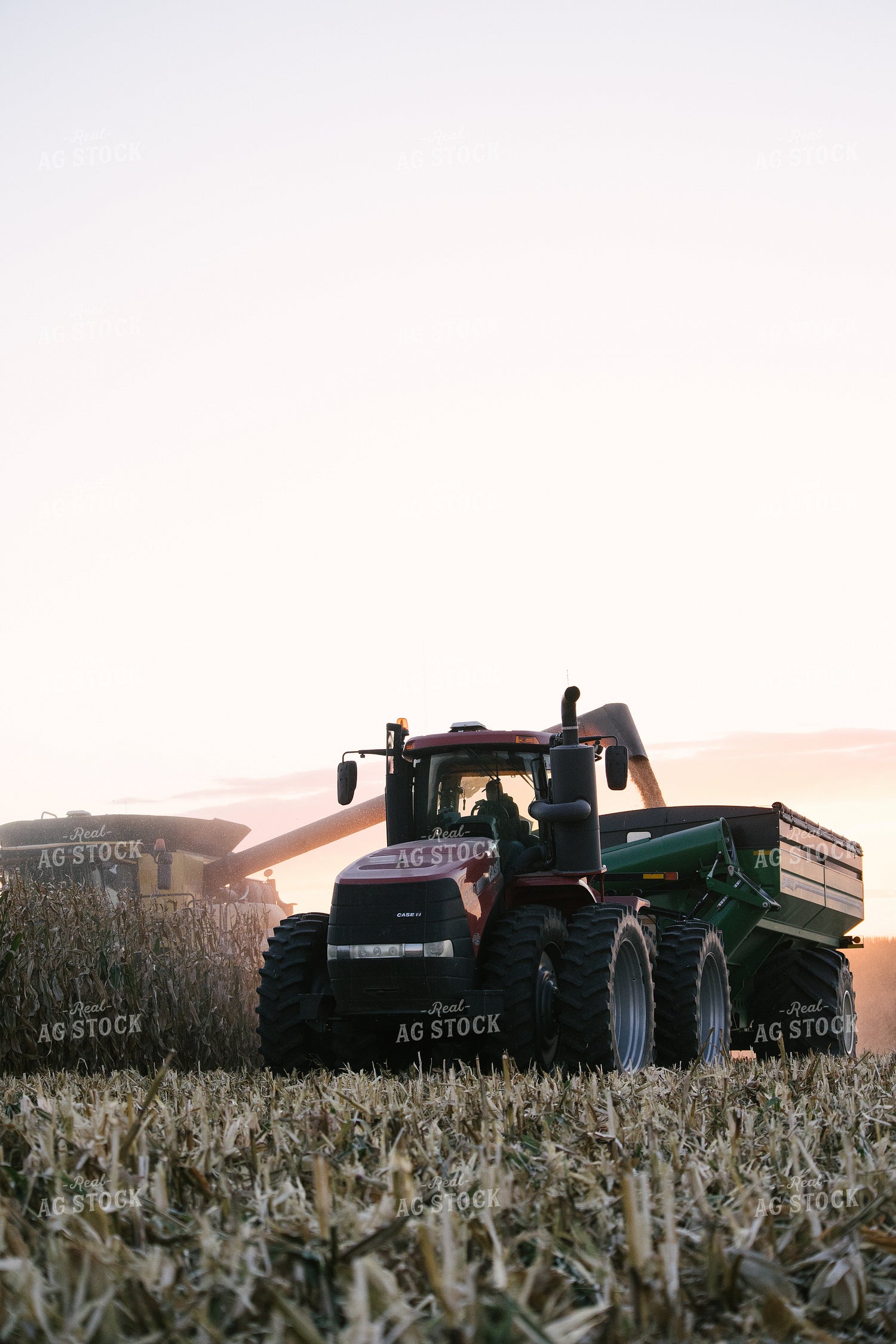 Nebraska Corn Harvest 70010