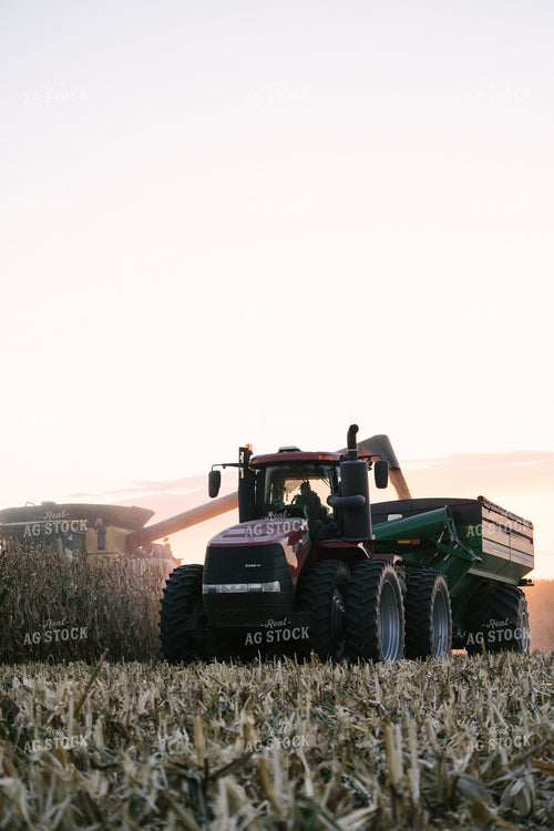Nebraska Corn Harvest 70010