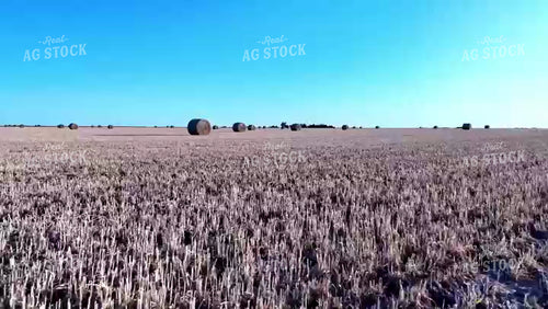 Baled Hay Field 239050