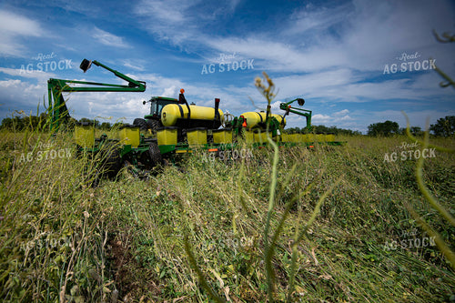 Planting into Cover Crops 168060