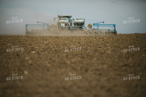 Planting on a Sunny Day 4133