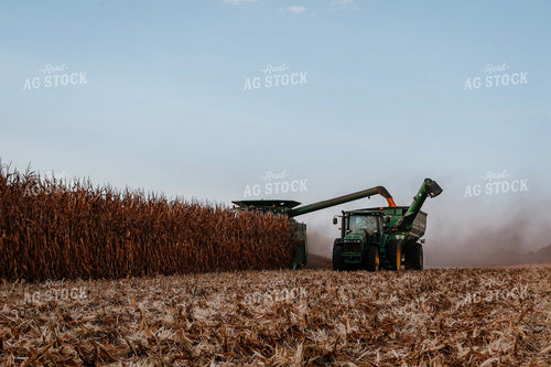 Corn Harvest 289001