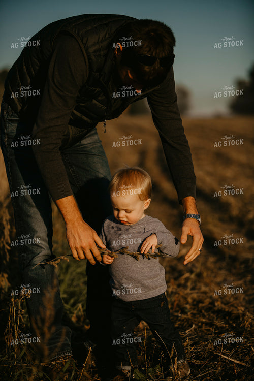 Harvest 2575