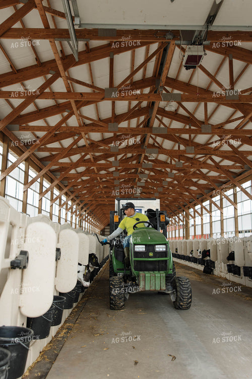 Filling Calf Buckets 152779