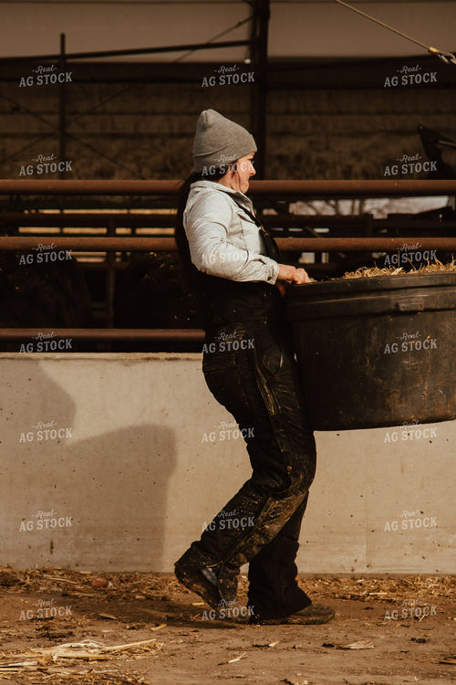 Feeding Cattle 67630