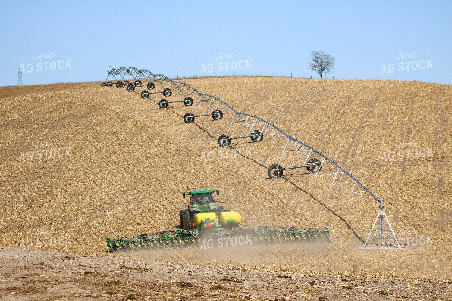 Planting 82456