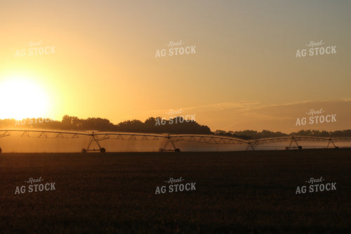 Irrigation System 82007
