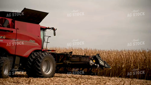 Harvesting Corn on Flat Ground - 448