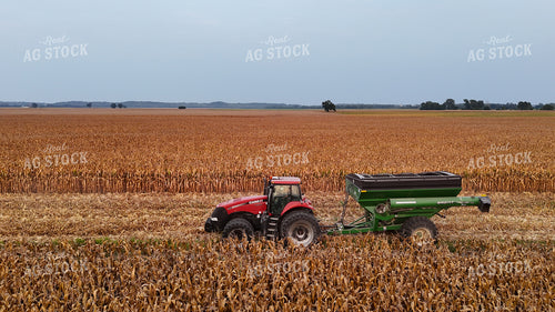 Corn Harvest 191271