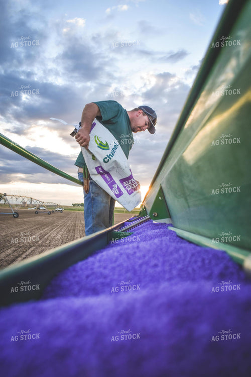 Loading Drill with Alfalfa Seed 56068