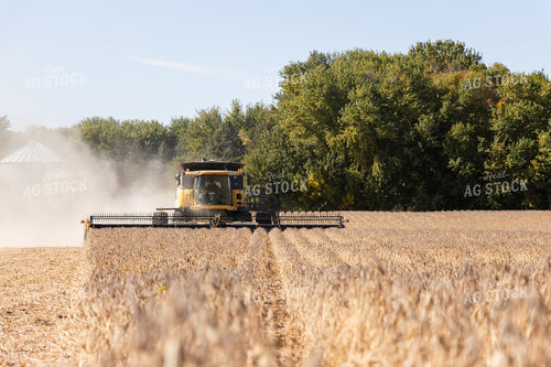Soybean Harvest 255022