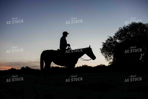 Silhouette of Cowboy on Horseback 281087