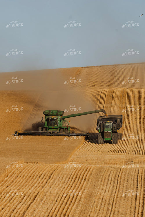 Wheat Harvest 187323