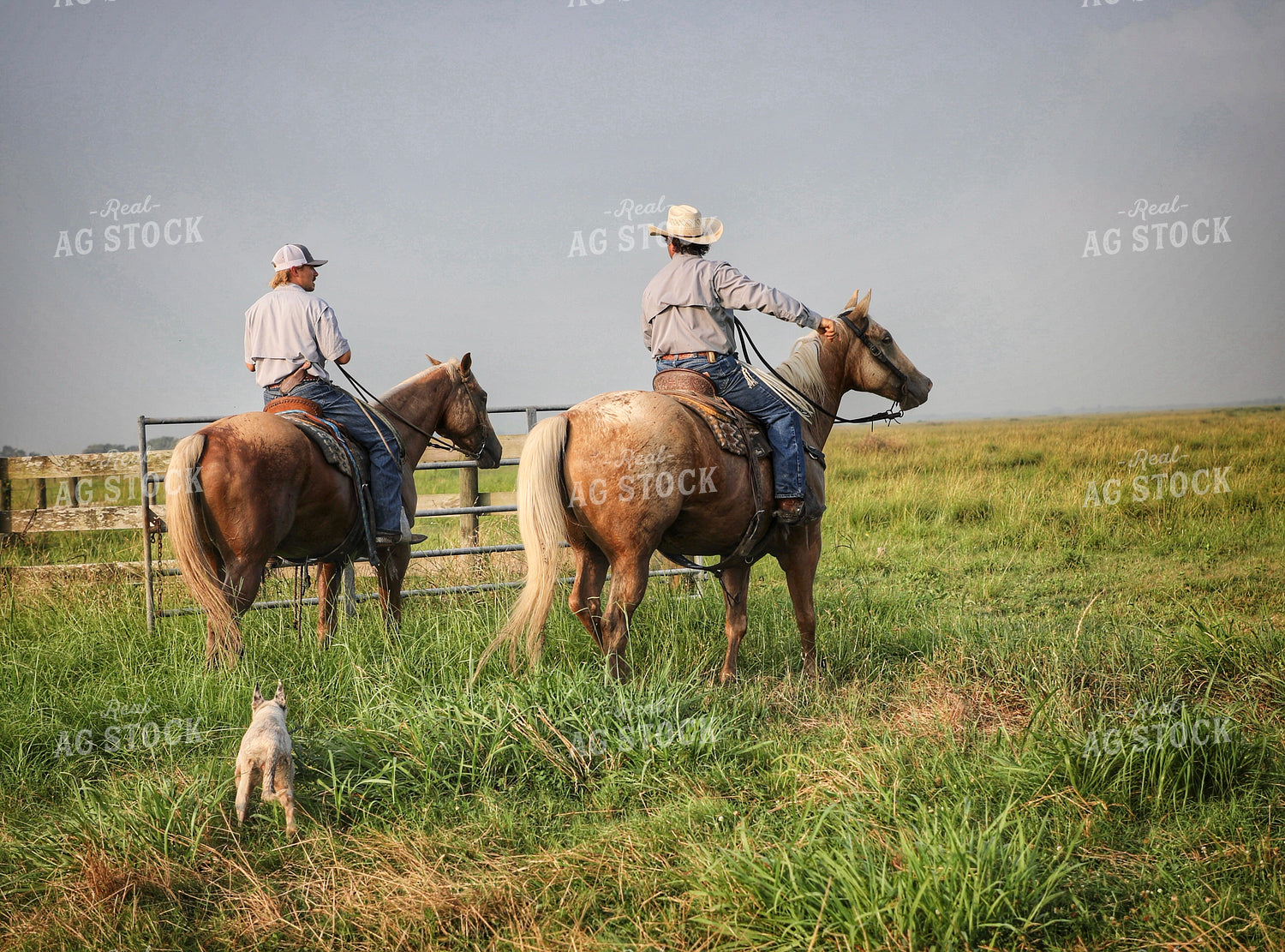 Ranchers on Horseback 210003