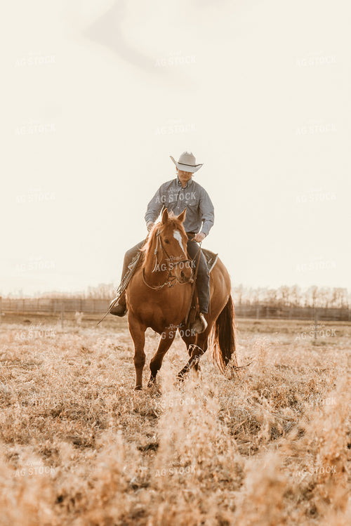 Rancher on Horseback 64024