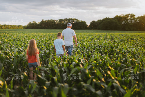 Farmer and Kids Checking Corn 8812