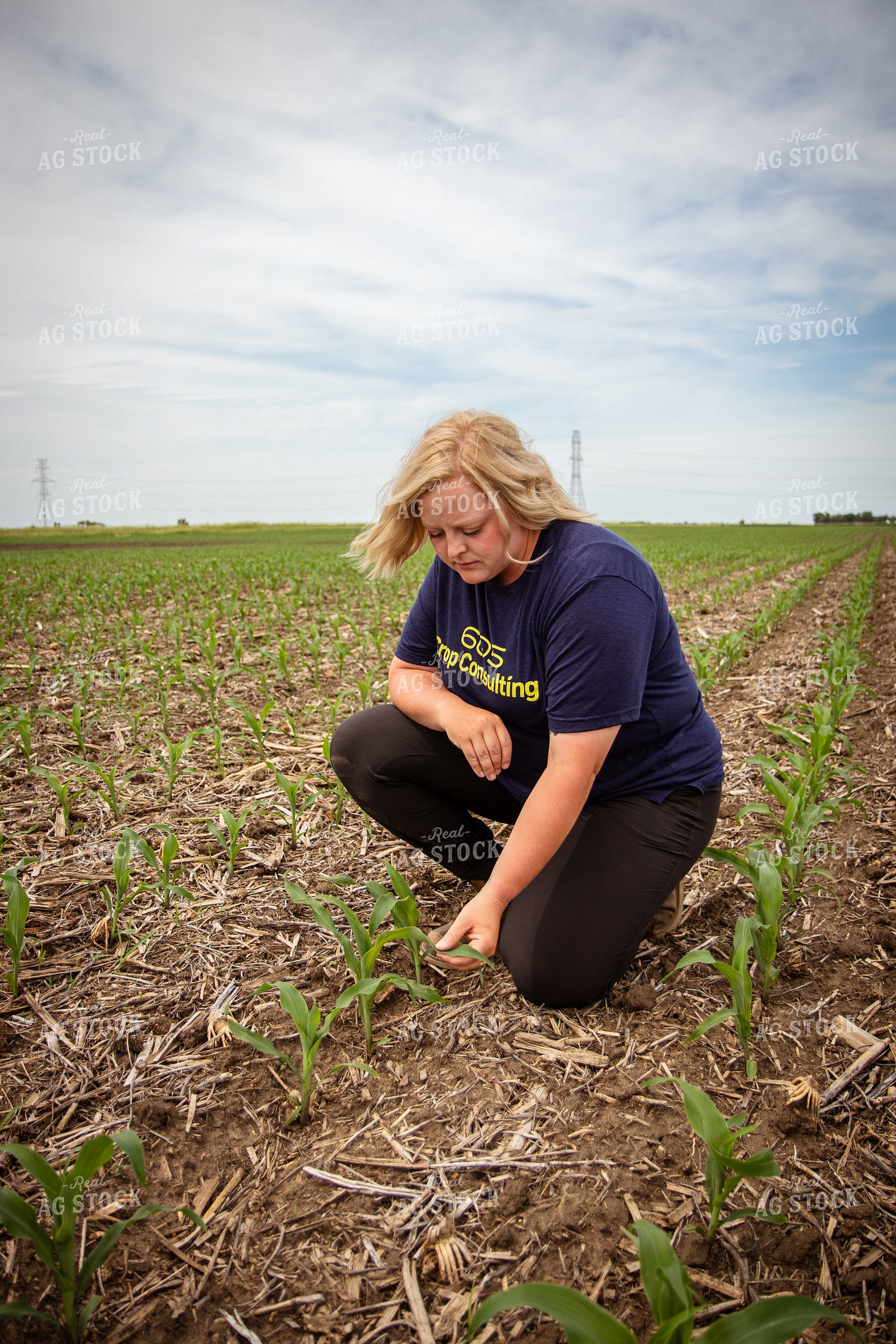Female Agronomist Scouting Field 67759