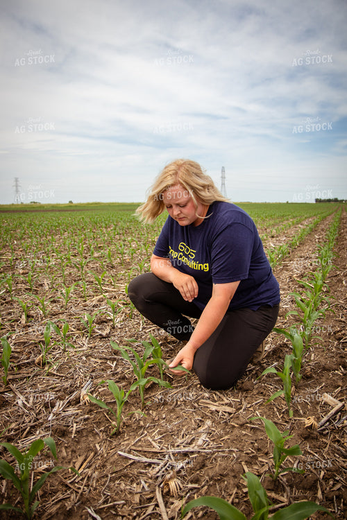 Female Agronomist Scouting Field 67759
