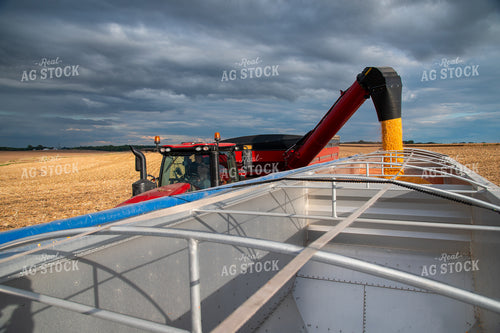 Grain Cart Unloading into Semi 25560
