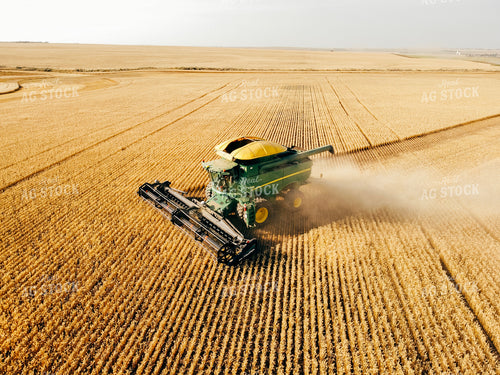 Wheat Harvest 187068