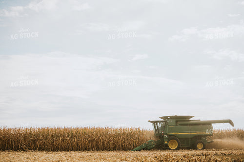 Corn Harvest 6560