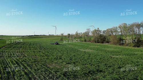 Planting into Cover Crop 268303
