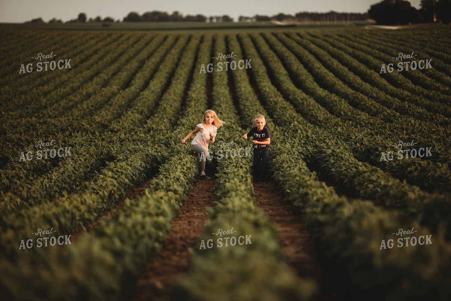 Farm Kids in Soybean Field 4573
