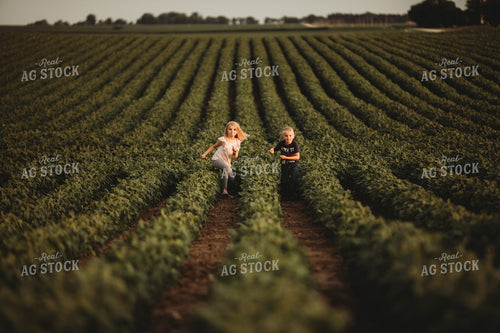 Farm Kids in Soybean Field 4573