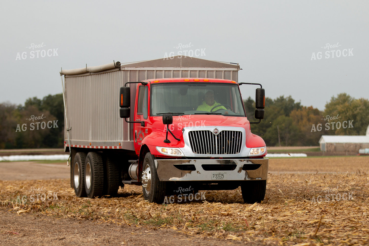 Tandem Grain Truck 157235