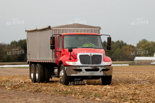 Tandem Grain Truck 157235