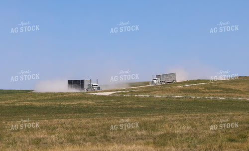 Semi Trucks and Livestock Trailers 261117