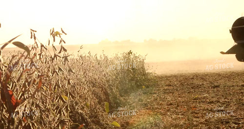 Combine Harvesting Soybeans 5384