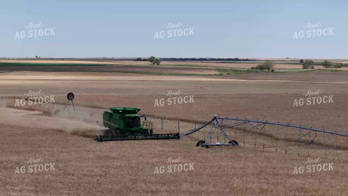 Wheat Harvest 239005