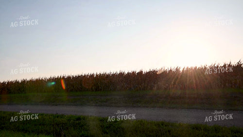 Truck and Combine Switching Fields - 439