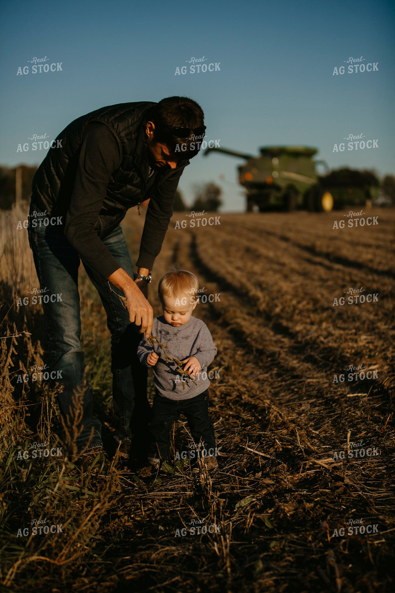 Harvest 2574