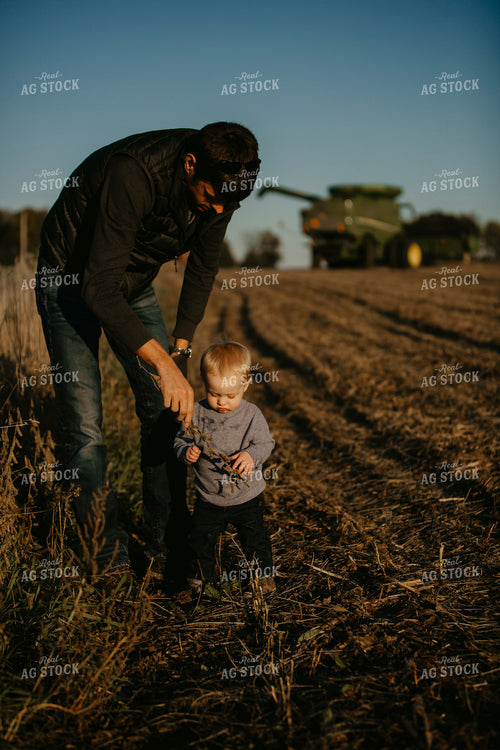 Harvest 2574
