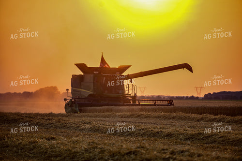 Wheat Harvest at Sunset 90038