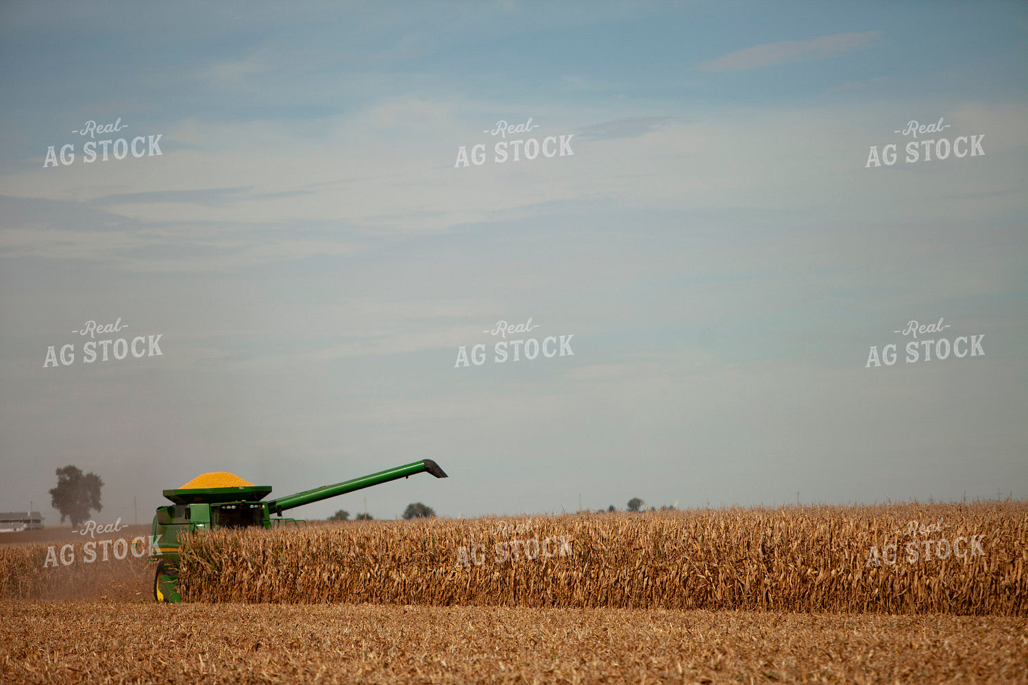Harvest 1781