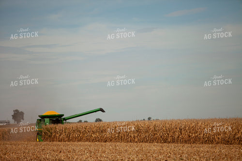 Harvest 1781