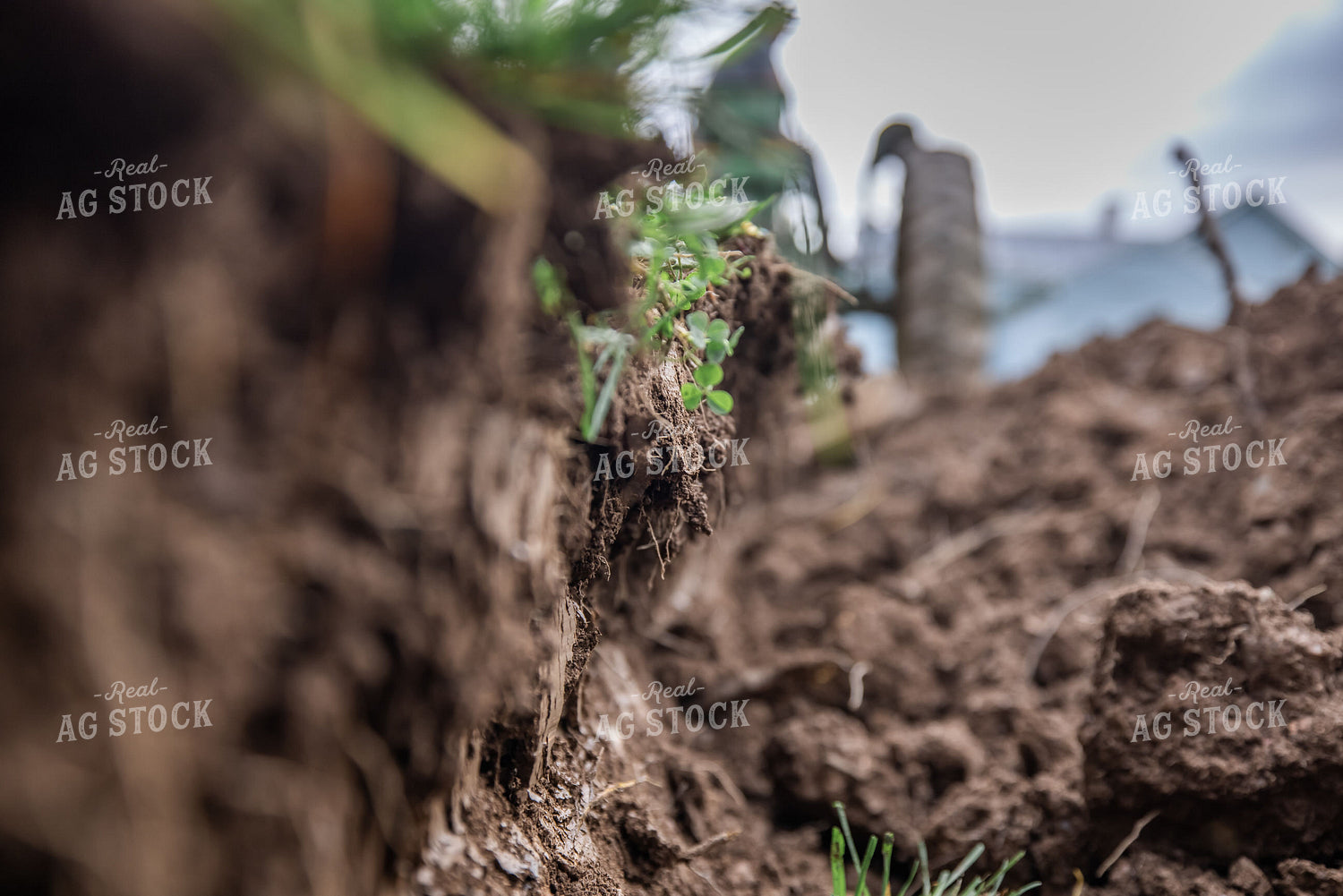 Plowed Furrow 270389