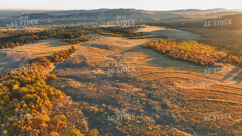 Aerial of Fall Pasture 261075
